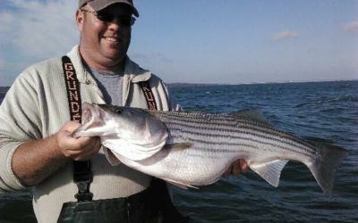 Lake Texoma Striped Bass Fishing Report Mid-Summer 2017