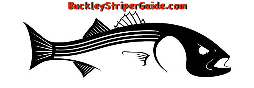 How to Catch Striper