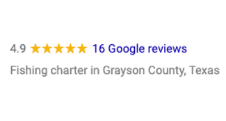 Google Reviews Count