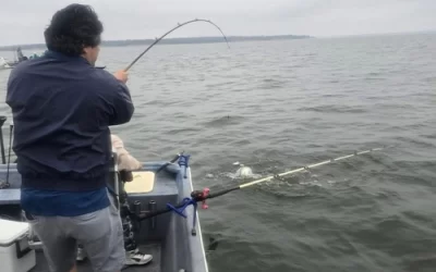 Best Time to Catch Striped Bass on Lake Texoma