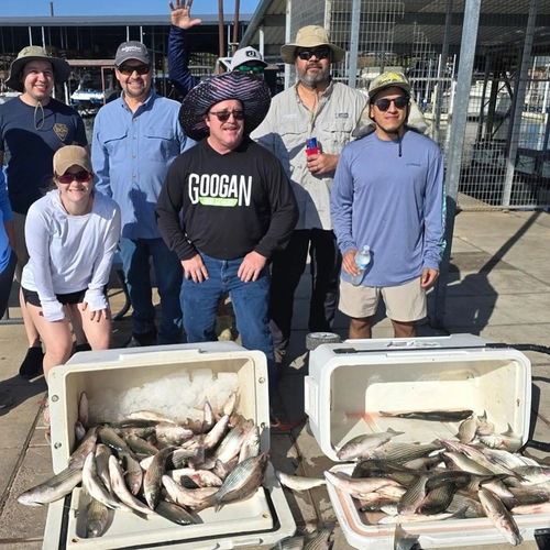 Half-Day vs Full-Day fishing trips at Lake Texoma