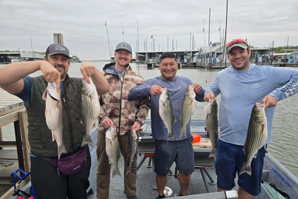 Group of anglers holding striped bass on Lake Texoma fishing report trip
