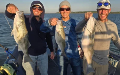 Lake Texoma Fishing Report – April 8, 2026